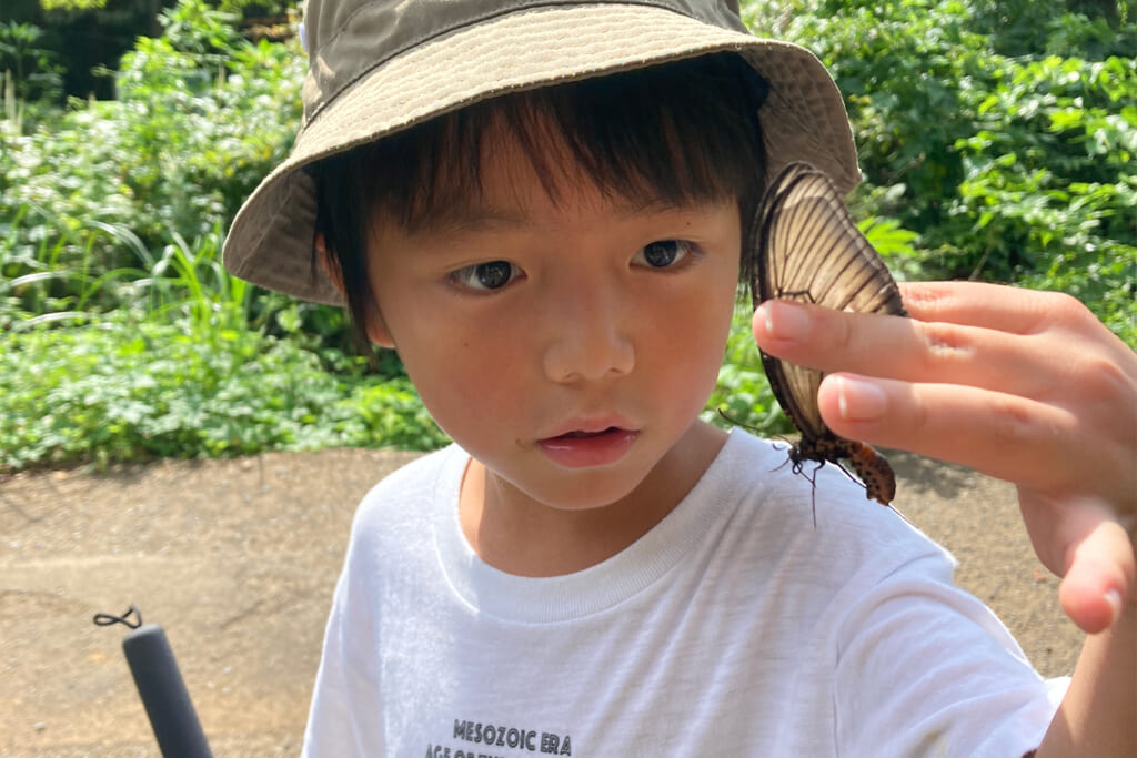 昆虫採集する子ども