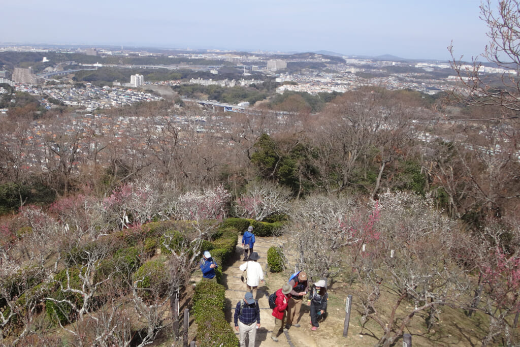 須磨の山のハイキング