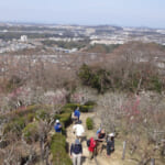 【画像】「春の海　終日のたりのたりかな」与謝蕪村も詠った須磨の浦で春の訪れを感じませんか？ 〜 画像1