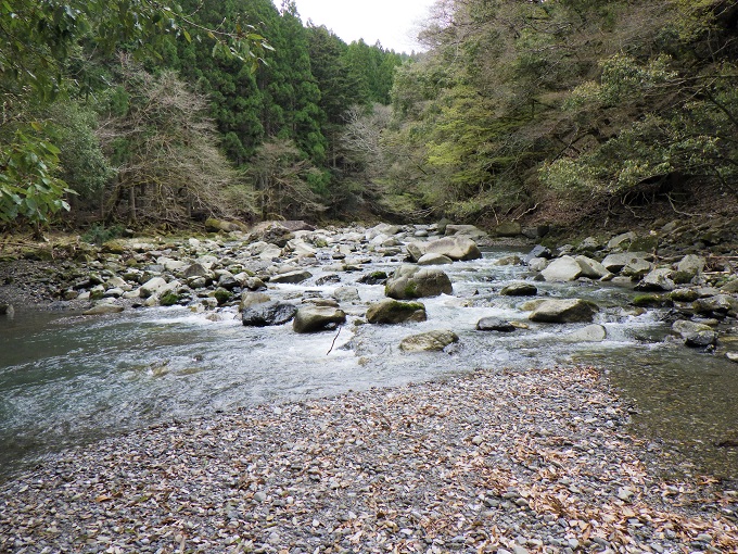 増水し始めた渓流