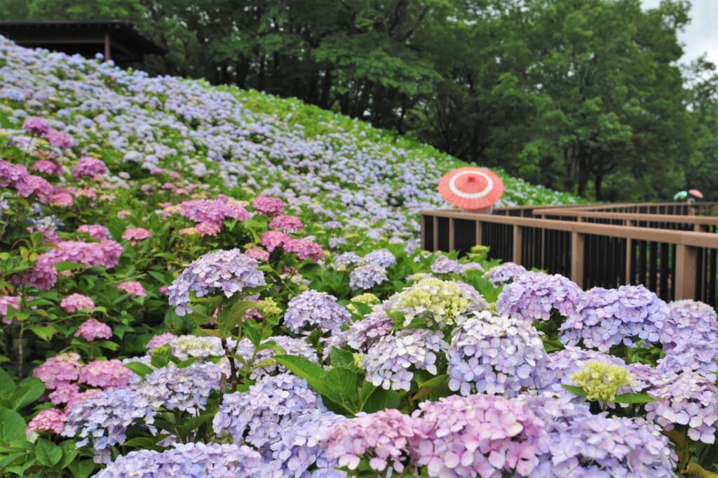 国営讃岐まんのう公園オートキャンプ場