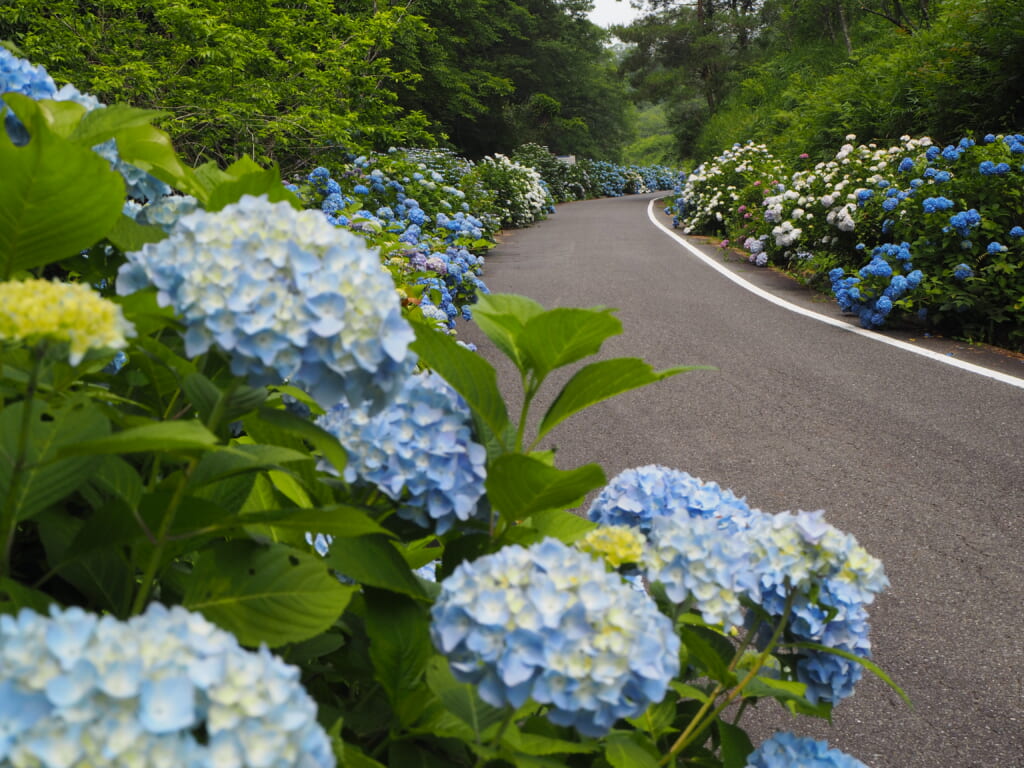 たけべの森公園