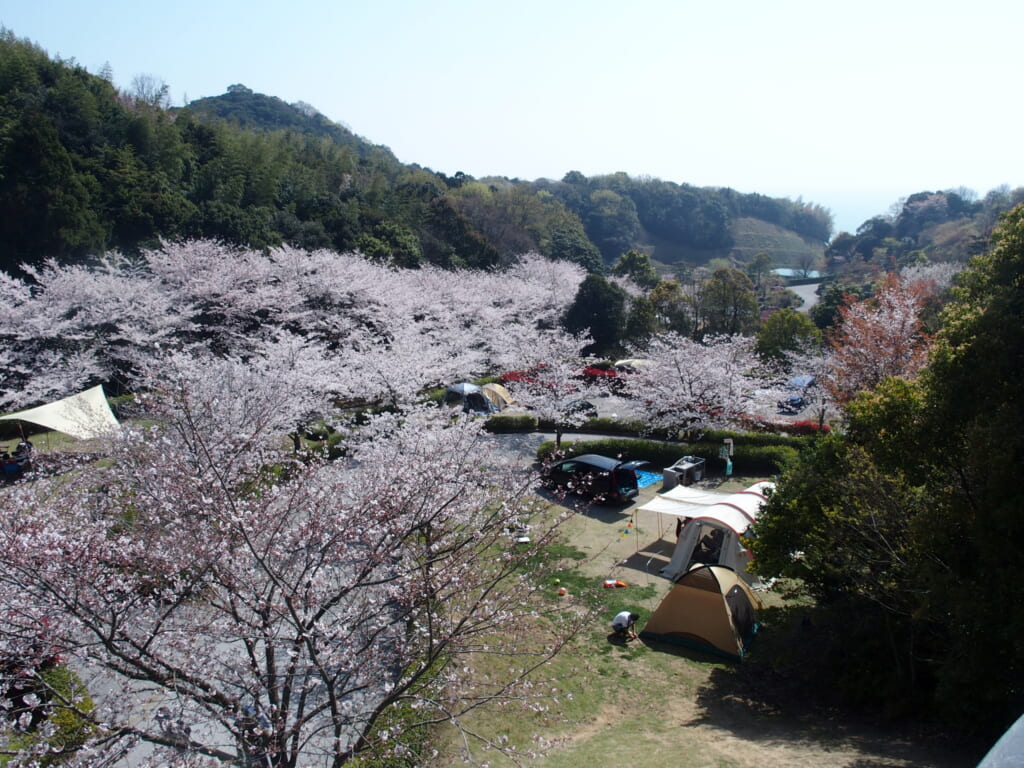 冠山総合公園