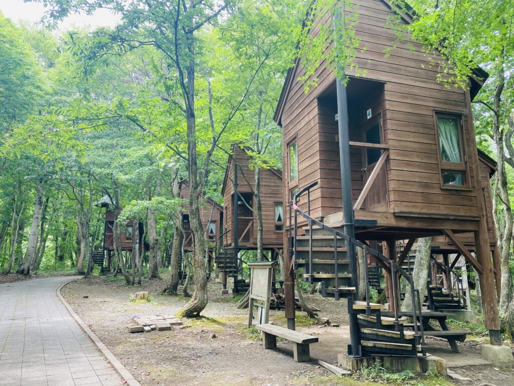 とことん山キャンプ場