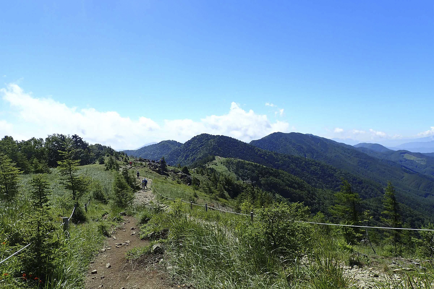 大菩薩峠まで続く稜線