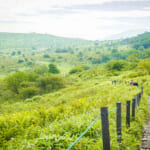 【画像】やっぱり霧深いのか！  霧ヶ峰の最高峰「車山」をピークハント「日本有数」の山岳高原を編集部が体当たりルポ 〜 画像1