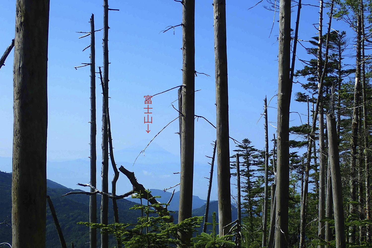 金峰山の登山道から見える富士山