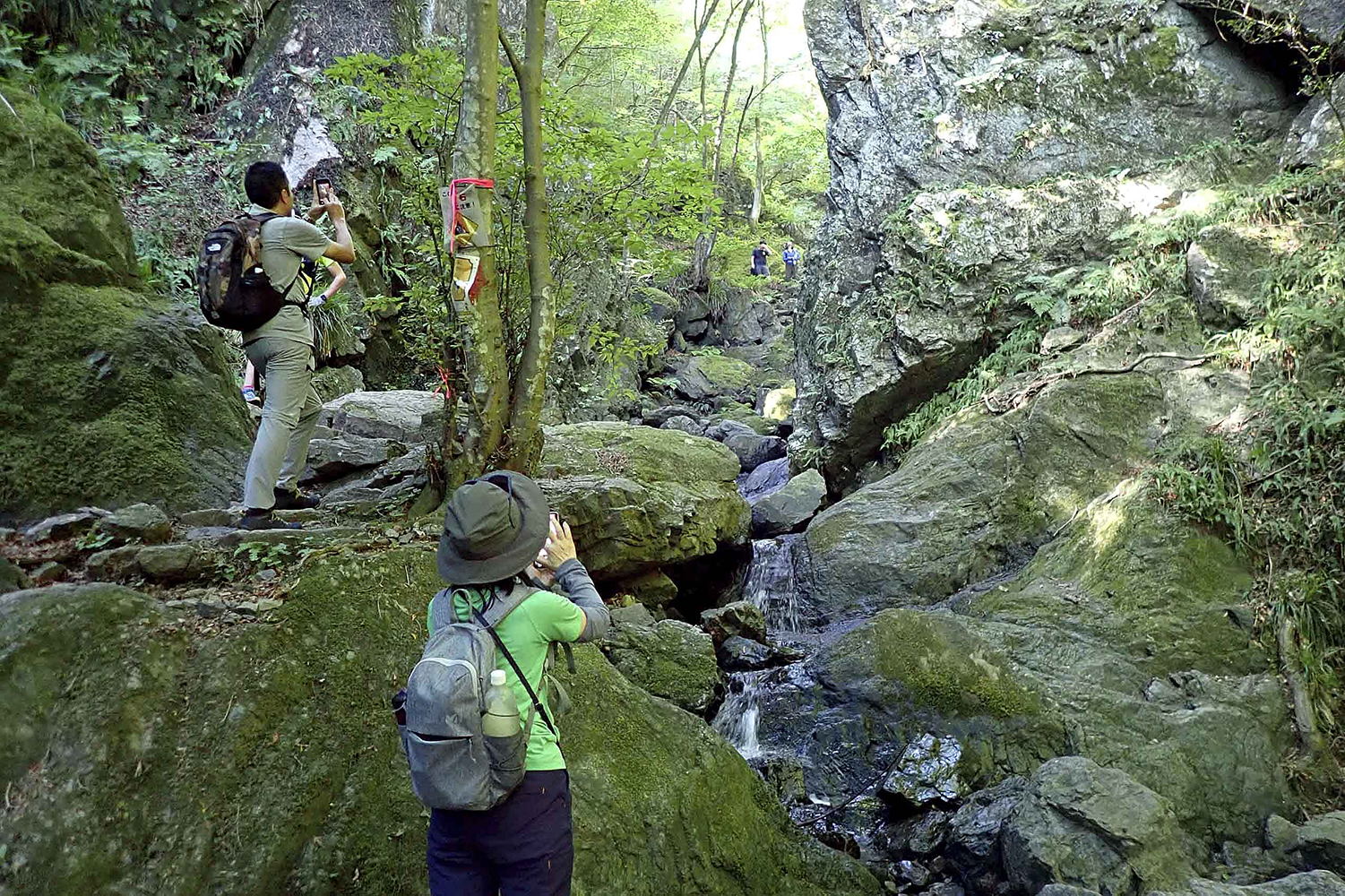 棒ノ折山名物の「ゴルジュ」