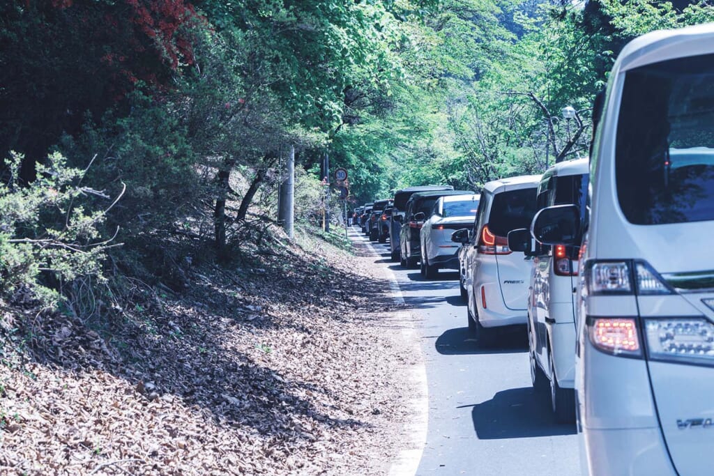 渋滞する山道