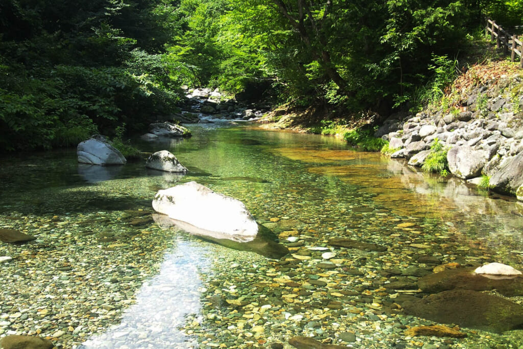 宮城県のるぽぽの森