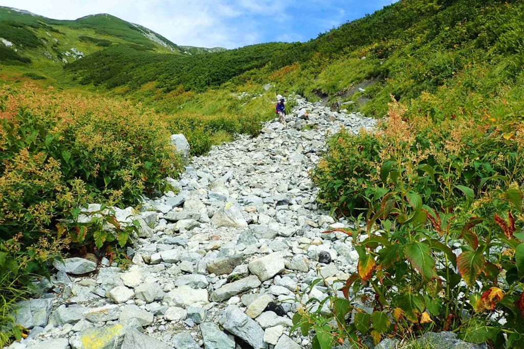 雷鳥坂の登山道