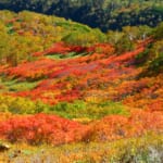 【画像】早くも色づく紅葉を求めてハイキング！　北海道随一の中心・大雪山で絶景＆温泉三昧【北海道エリア】 〜 画像1