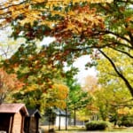 【画像】早くも色づく紅葉を求めてハイキング！　北海道随一の中心・大雪山で絶景＆温泉三昧【北海道エリア】 〜 画像1