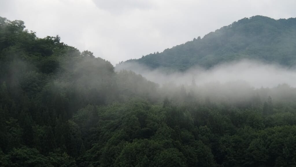 霧がかかった山