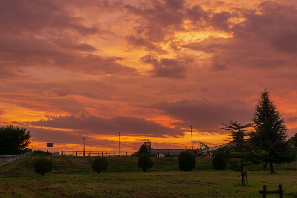 夕焼け