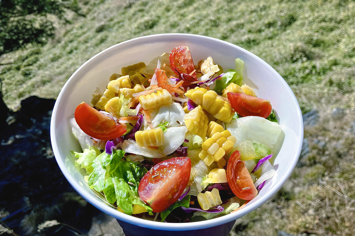 コンビニのサラダで作った山ごはん