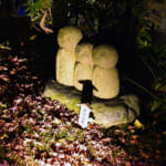 【画像】鎌倉のパワースポット「長谷寺」　ライトアップされた紅葉を愛でながら夜間拝観 〜 画像1