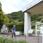 【画像】花と柑橘にヘルシーに癒されて……「しまなみ海道サイクリング」 〜 画像1