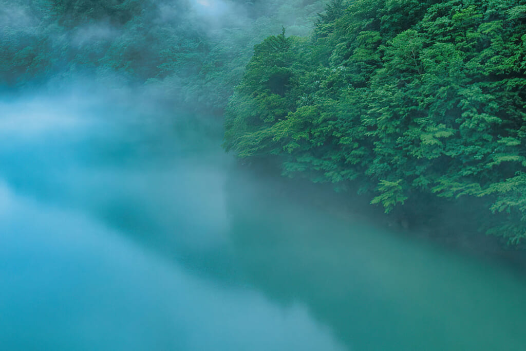 幻想的な霧の景色