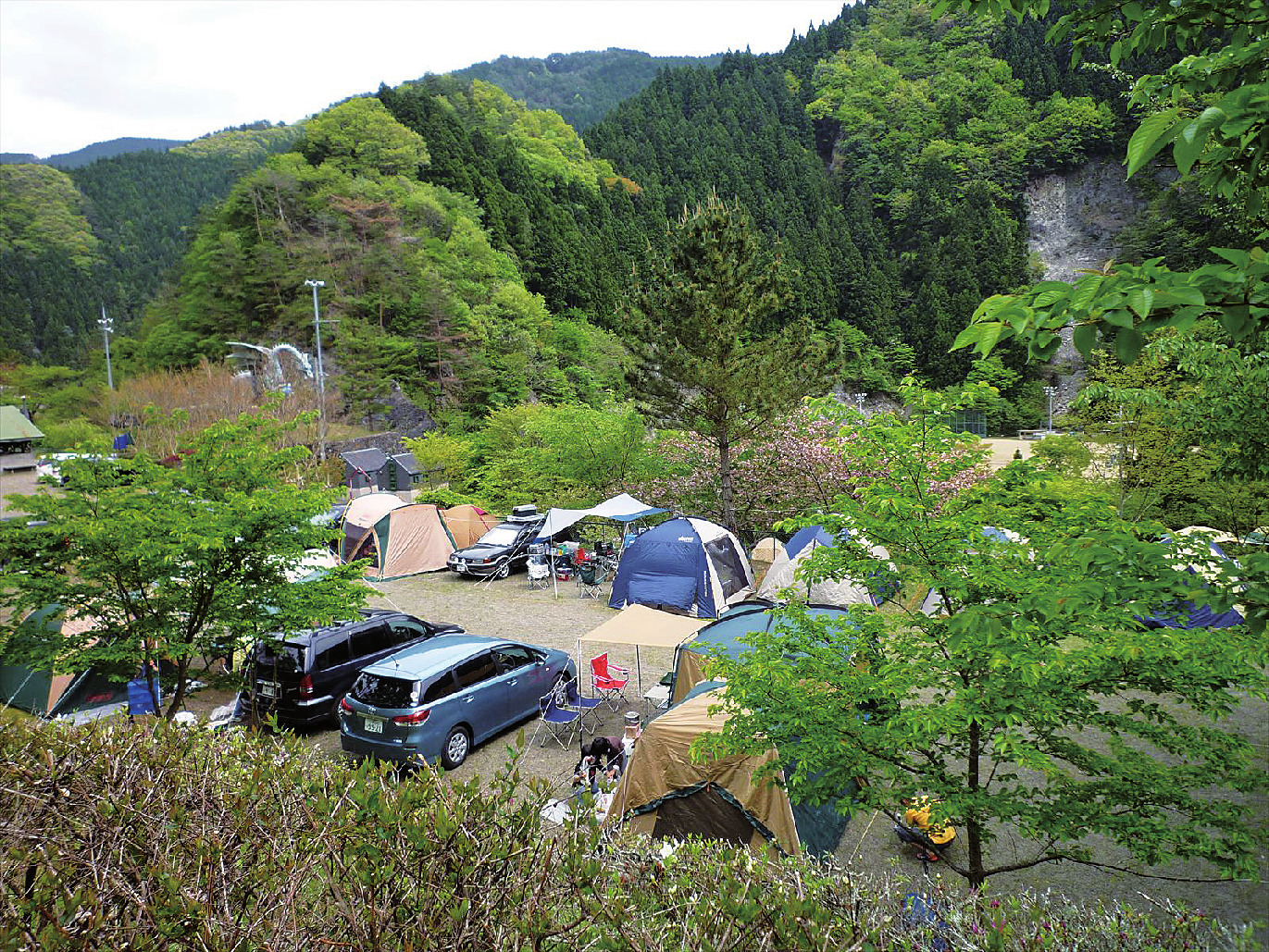 金剛 緑地 オート キャンプ 場 ペット