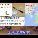 【画像】まさかの大物までゲット！「ぶっこみ釣り」で釣果をあげる餌はサバの切り身？　そろともアオイソメ？ 〜 画像1