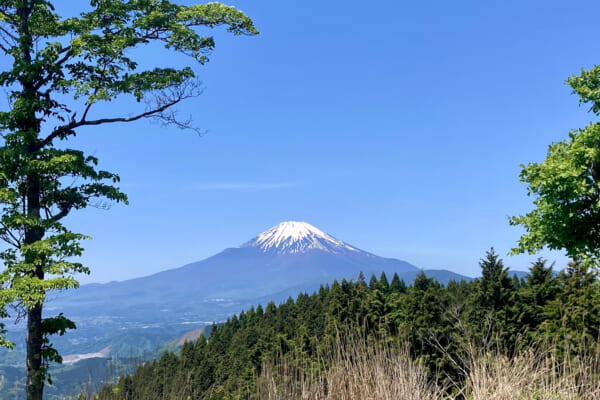 高松山から望む富士山