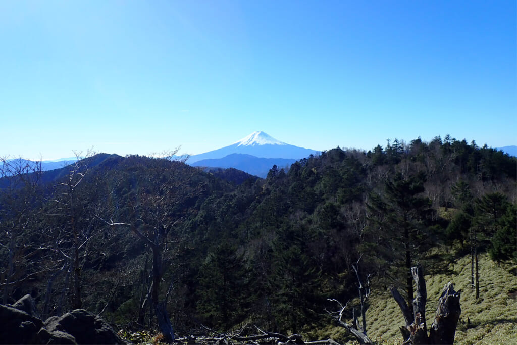 秀麗富嶽十二景の二番山頂の小金沢山登山