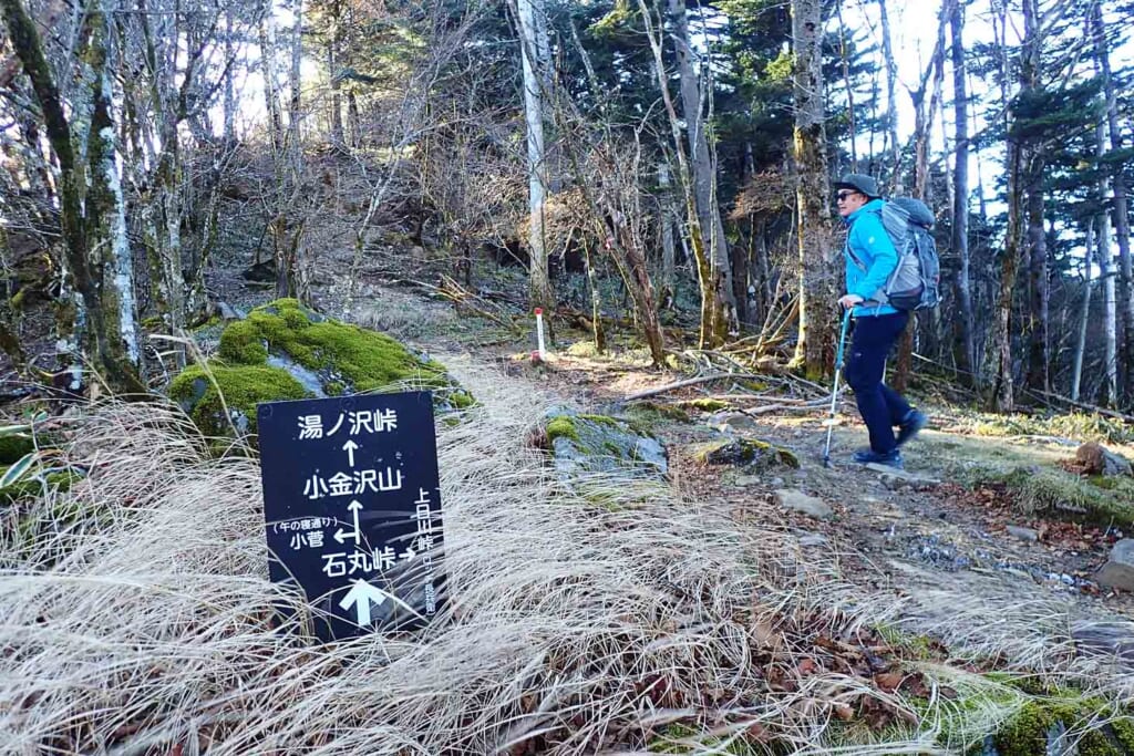 秀麗富嶽十二景の二番山頂の小金沢山登山