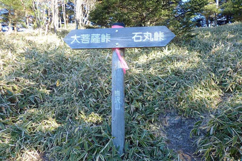 秀麗富嶽十二景の二番山頂の小金沢山登山