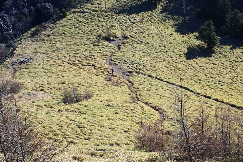 秀麗富嶽十二景の二番山頂の小金沢山登山