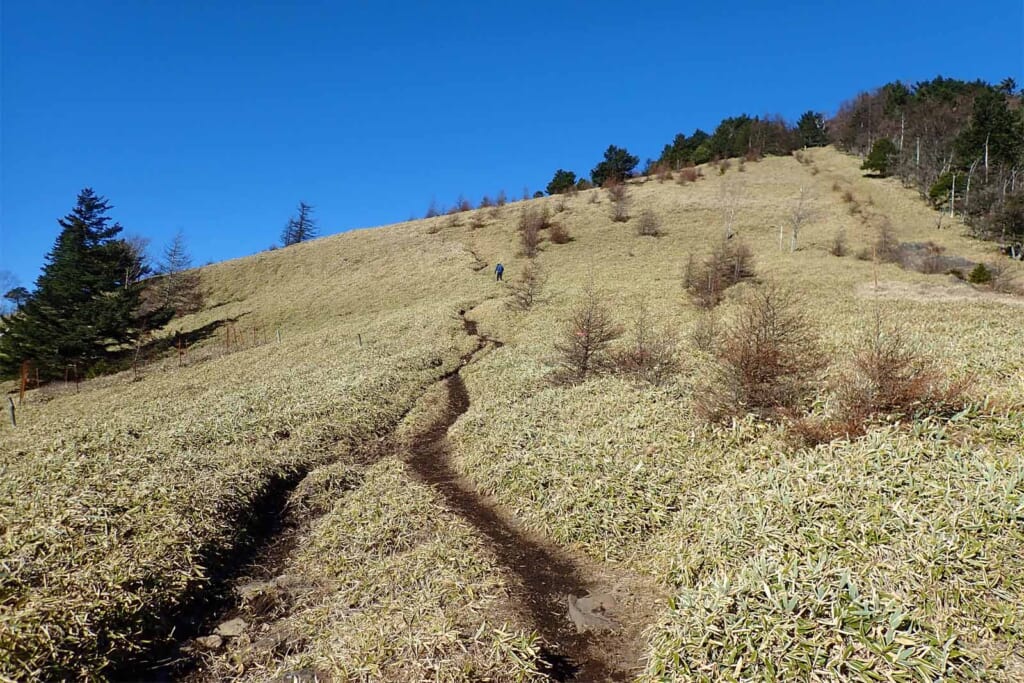 秀麗富嶽十二景の二番山頂の小金沢山登山富嶽十二景の2番山の小金沢山登山