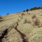 【画像】【秀麗富嶽十二景】二番山頂「小金沢山」は唯一2000m超えの山頂、日本一長い山名で人気の頂から日本一の富士を愛でる 〜 画像1