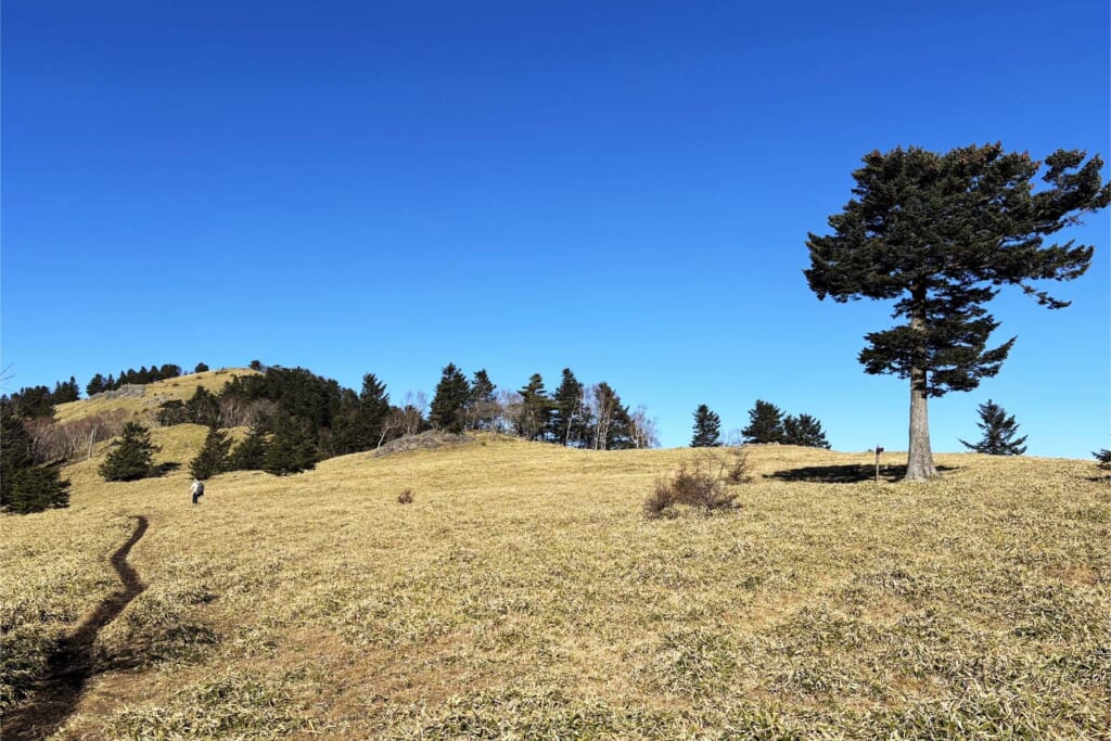 秀麗富嶽十二景の二番山頂の小金沢山登山