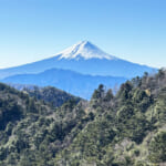 秀麗富嶽十二景の二番山頂の小金沢山登山