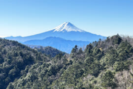 秀麗富嶽十二景の二番山頂の小金沢山登山