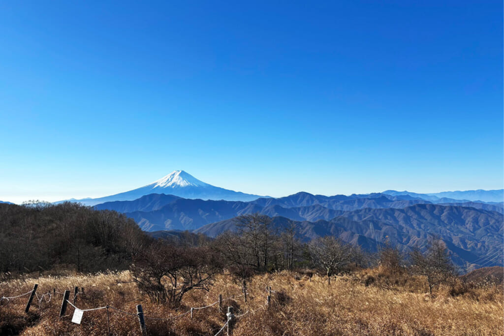 大蔵高丸から望む富士山