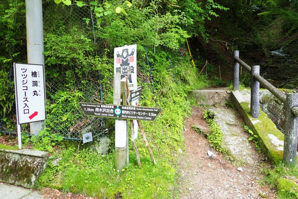 檜洞丸への登山口となるツツジ新道入口