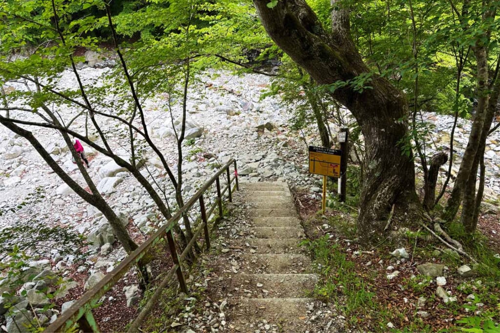 ゴーラ沢出合の階段