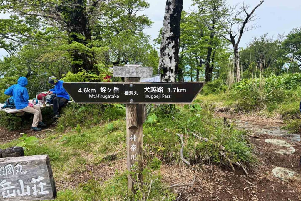 檜洞丸の山頂