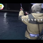 【画像】もはや事件レベル？　日本記録更新か!?　堤防で釣った53cmの「バケモノ巨大アジ」に大興奮 〜 画像1