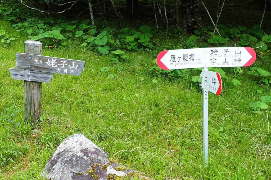 秀麗富嶽十二景の姥子山登山