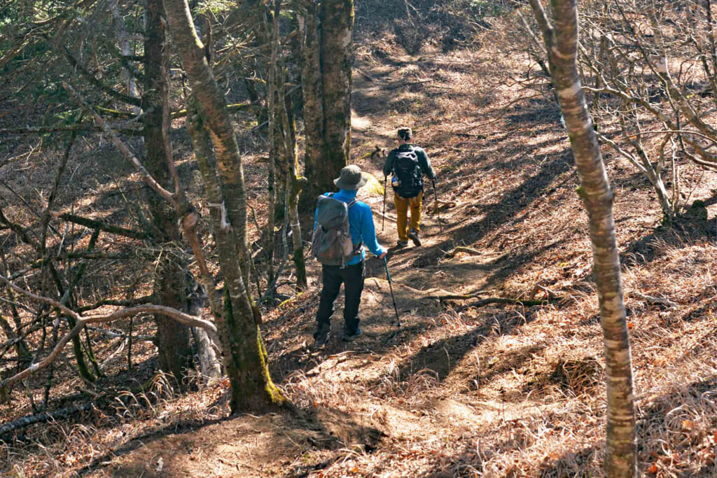 秀麗富嶽十二景の姥子山登山