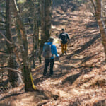 【画像】【秀麗富嶽十二景】一番山頂は修行の縦走だった！　ダブル一番山頂からの絶景ピストンはガチ凄な美しさ［その２／姥子山］ 〜 画像1