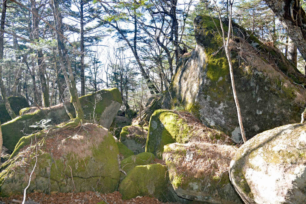 秀麗富嶽十二景の姥子山登山