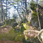 【画像】【秀麗富嶽十二景】一番山頂は修行の縦走だった！　ダブル一番山頂からの絶景ピストンはガチ凄な美しさ［その２／姥子山］ 〜 画像1