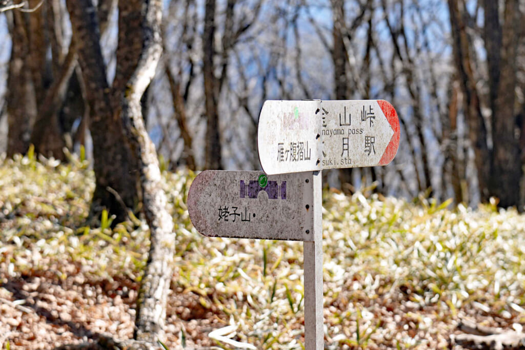 秀麗富嶽十二景の姥子山登山