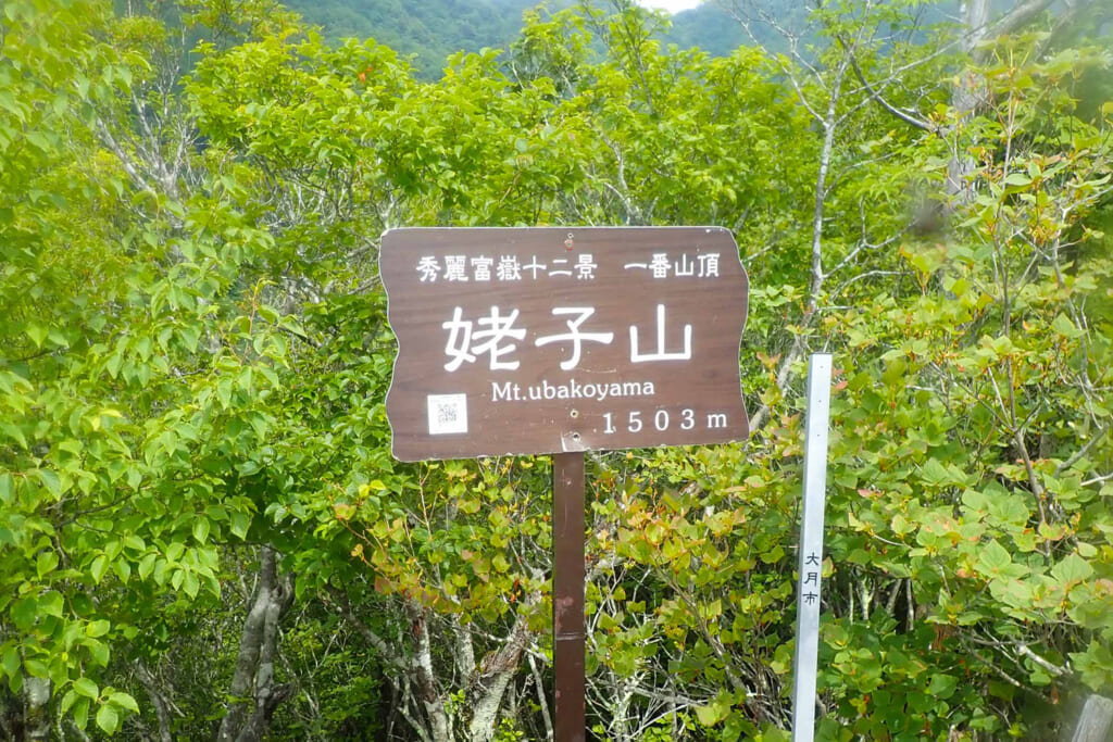 秀麗富嶽十二景の姥子山