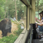 【画像】安全に野生のヒグマに出会える、北海道十勝ならではのサファリパークでしかありえない体験を！ 〜 画像1