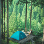 【画像】森の中で〝空泊〟体験できる！　「ツリーピクニック アドベンチャーいけだ」でグリーンシャワーを浴びよう 〜 画像1