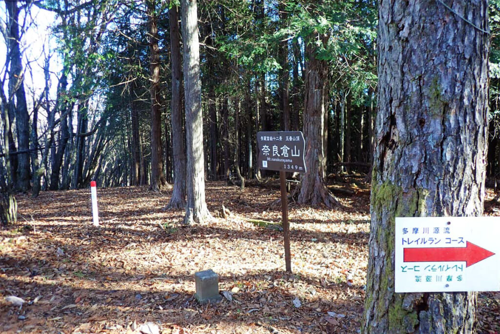 奈良倉山の山頂